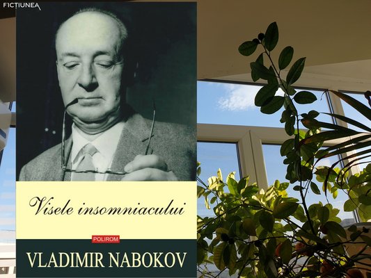 Camelia DINU - Ce visa Nabokov?
