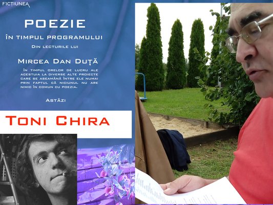 Mircea Dan DUȚĂ - Toni Chira: Siviurile lui Danusiu