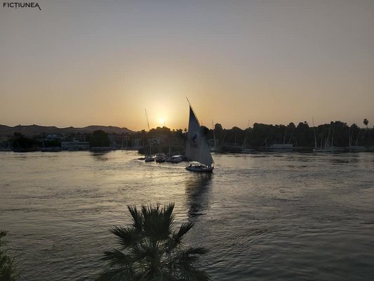 Alina COSMA - Călătorie spre Aswan