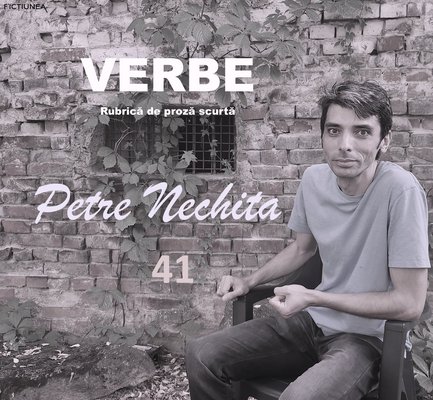 Petre NECHITA - Verbe. 41. Jocul oglinzilor