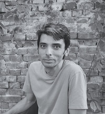 Petre NECHITA - Alegeri tăcute
