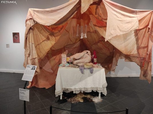Laura LUPU - Traversarea materiei. De la Țuculescu la Serenciuc