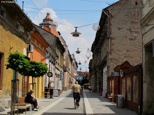 Iuliu Cezar STURZA - Casa nimănui