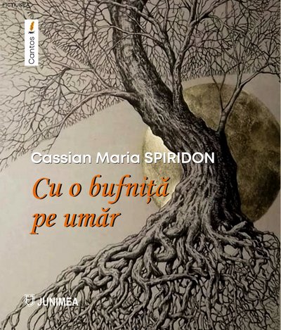 Cassian Maria SPIRIDON - femeie pe malul mării