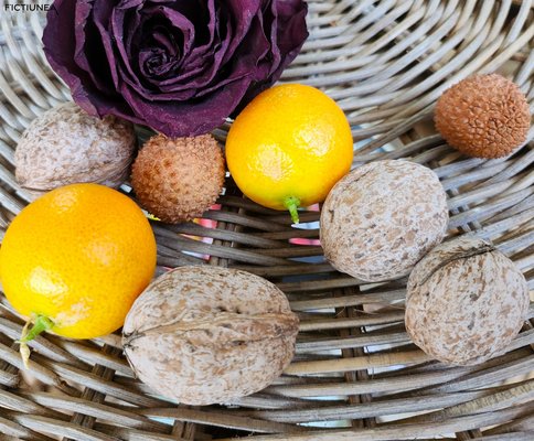 Ilinca Mureșanu - 2025, portocale