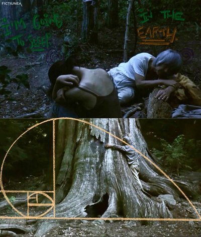 Amalia-Geanina TIMOFTE - Ritualul cinematografic și labirintul teluric