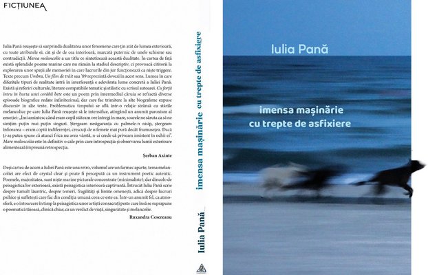 Petre NECHITA - Marea din mintea mea (nu a poetului)
